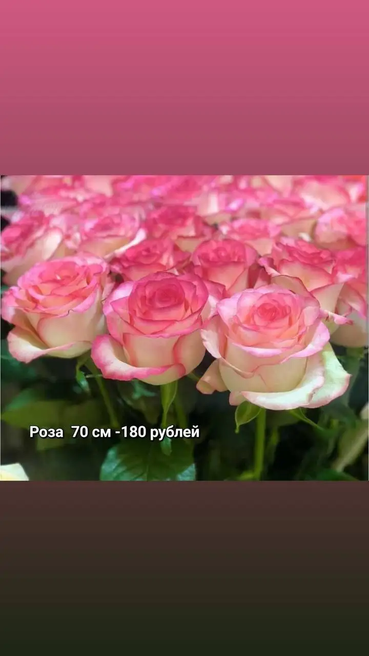 Доставка цветов и букетов в Томске - Доставка цветов (Услуги) в Томск