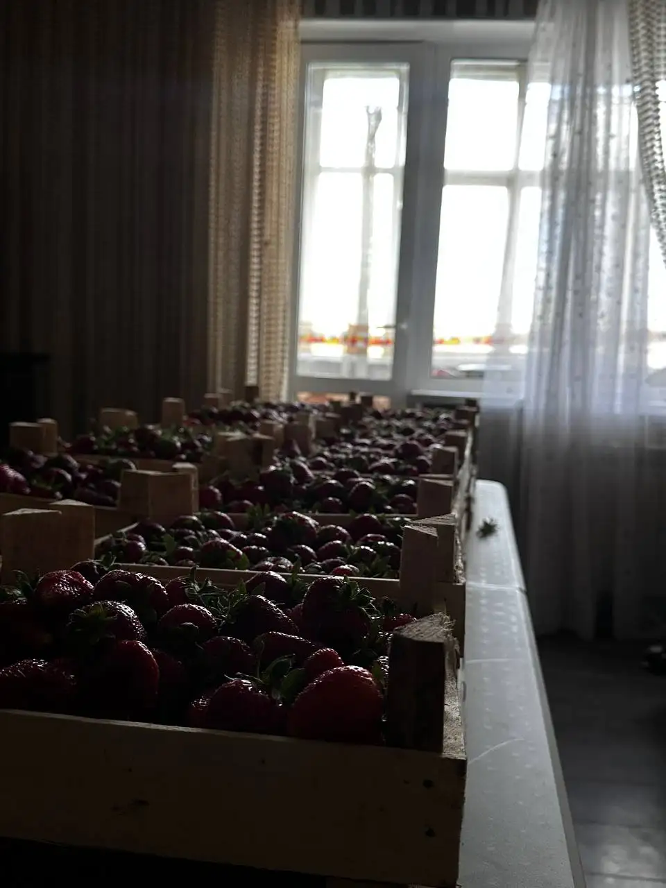 Продам клубнику - Продукты (Барахолка) в Томск