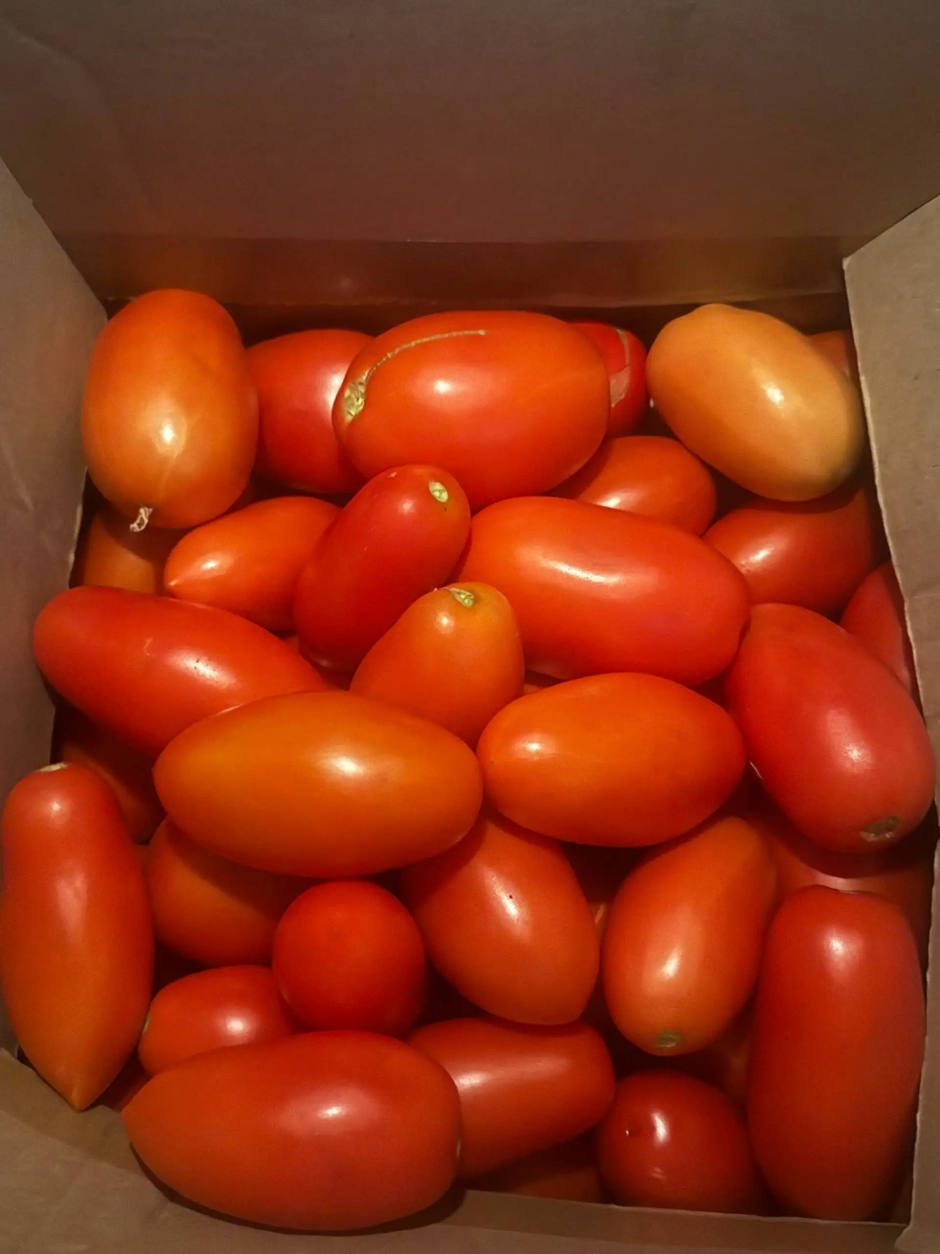 Продам помидоры тепличные - Продукты питания (Барахолка) в Томск