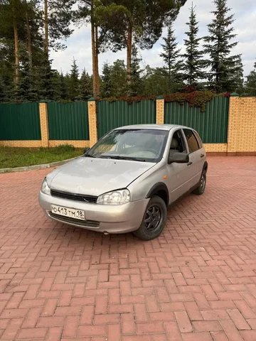 Калина 2007 года - Микроавтобусы в Набережные Челны