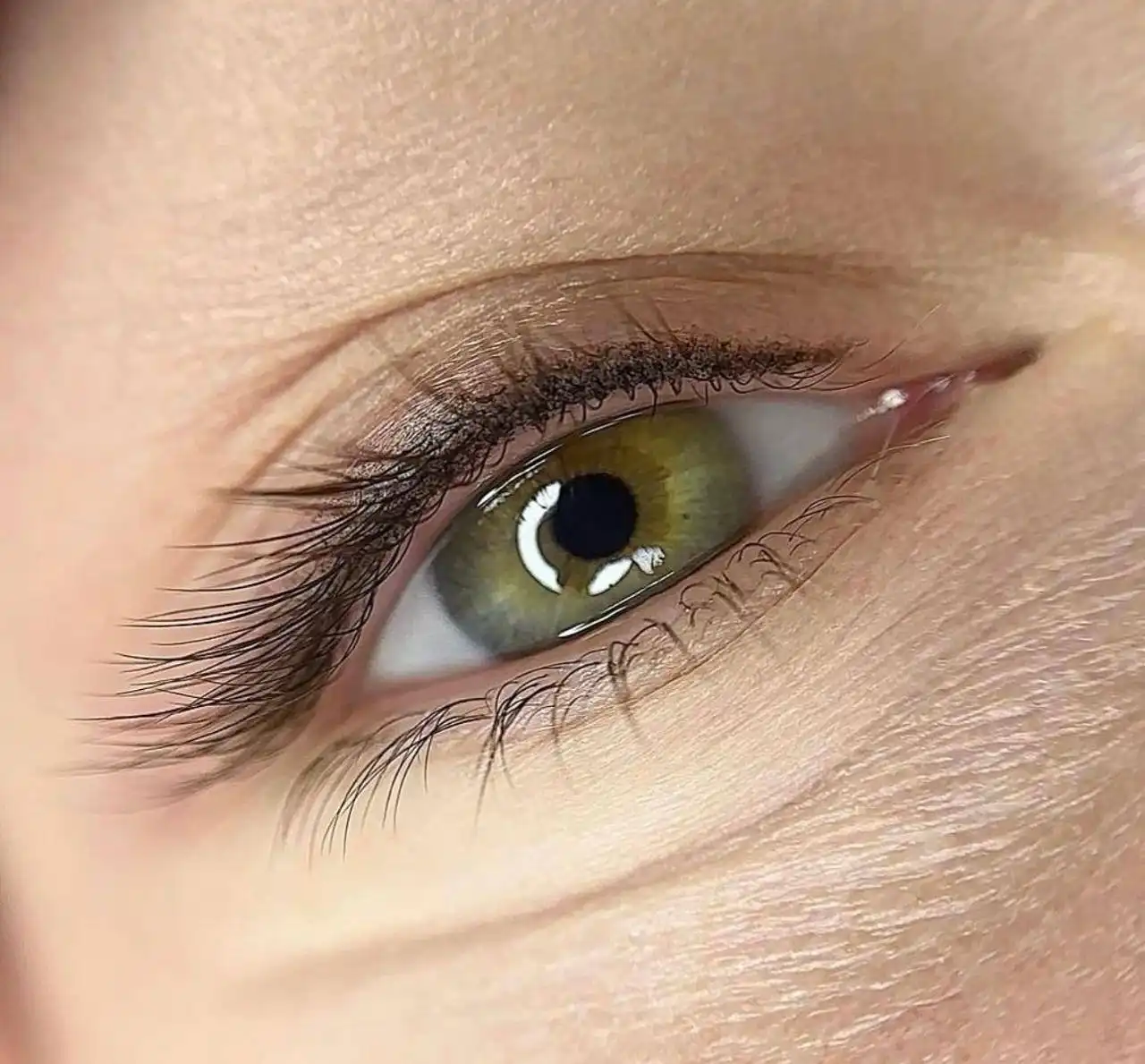 Услуги студии красоты Ева в Москве