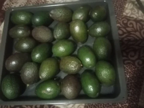 Услуги в Балашихе - частное объявление в Балашиха