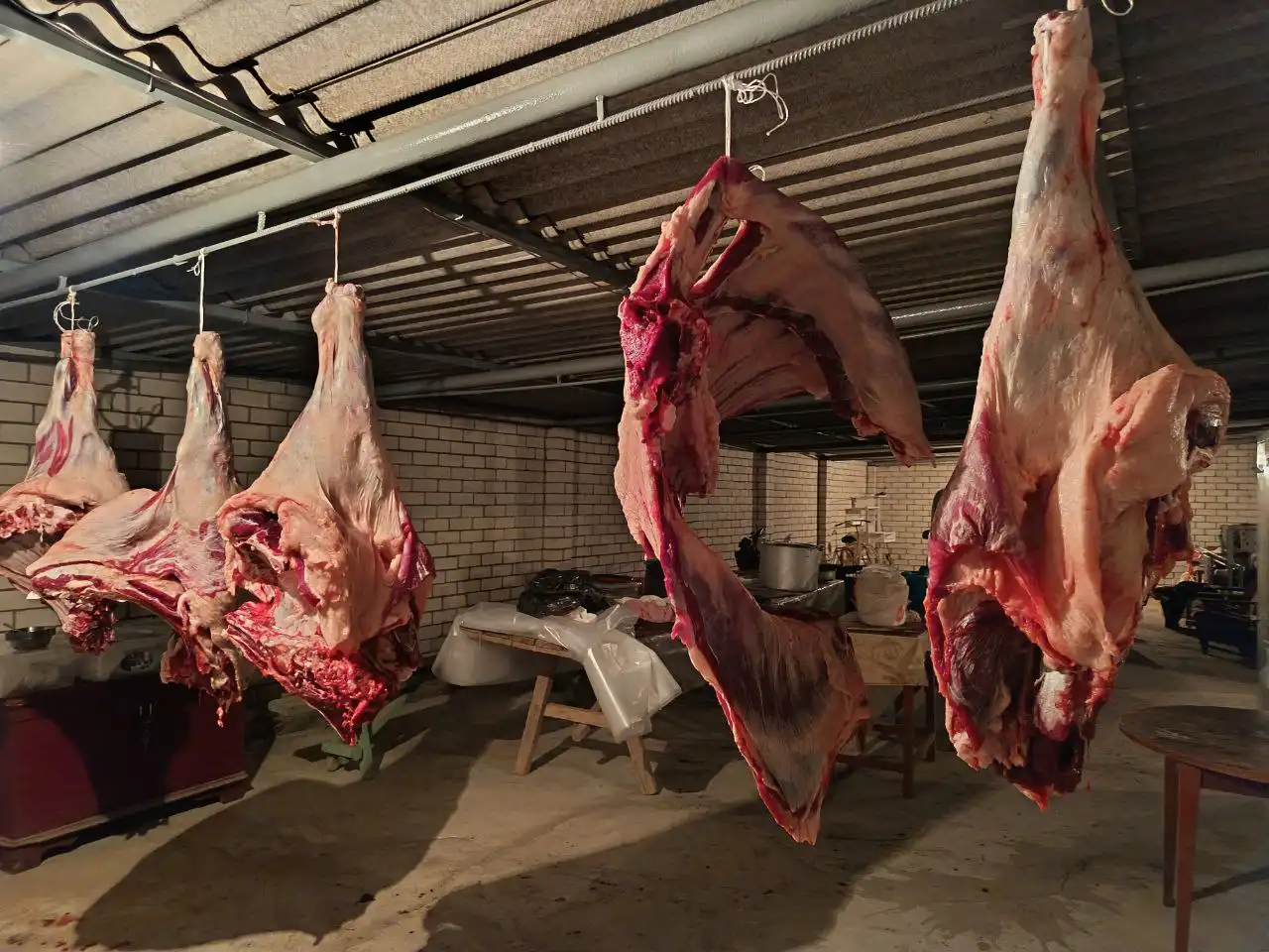Забой молодой говядины халяль