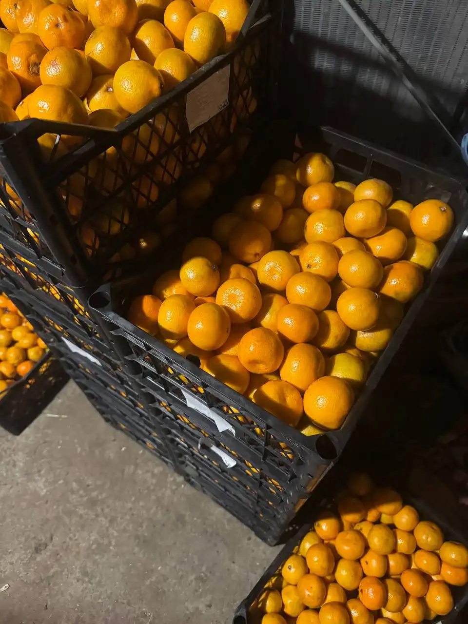 Продажа сладких мандаринов