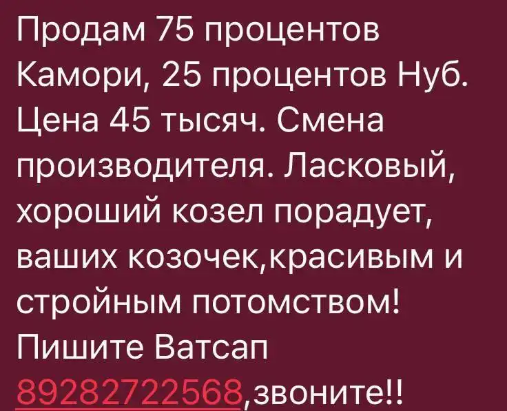 Продам козла