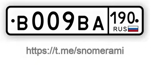 Продажа госномеров (2 шт.) - В009ВА190, В009ВА10 - Госномера в Химки