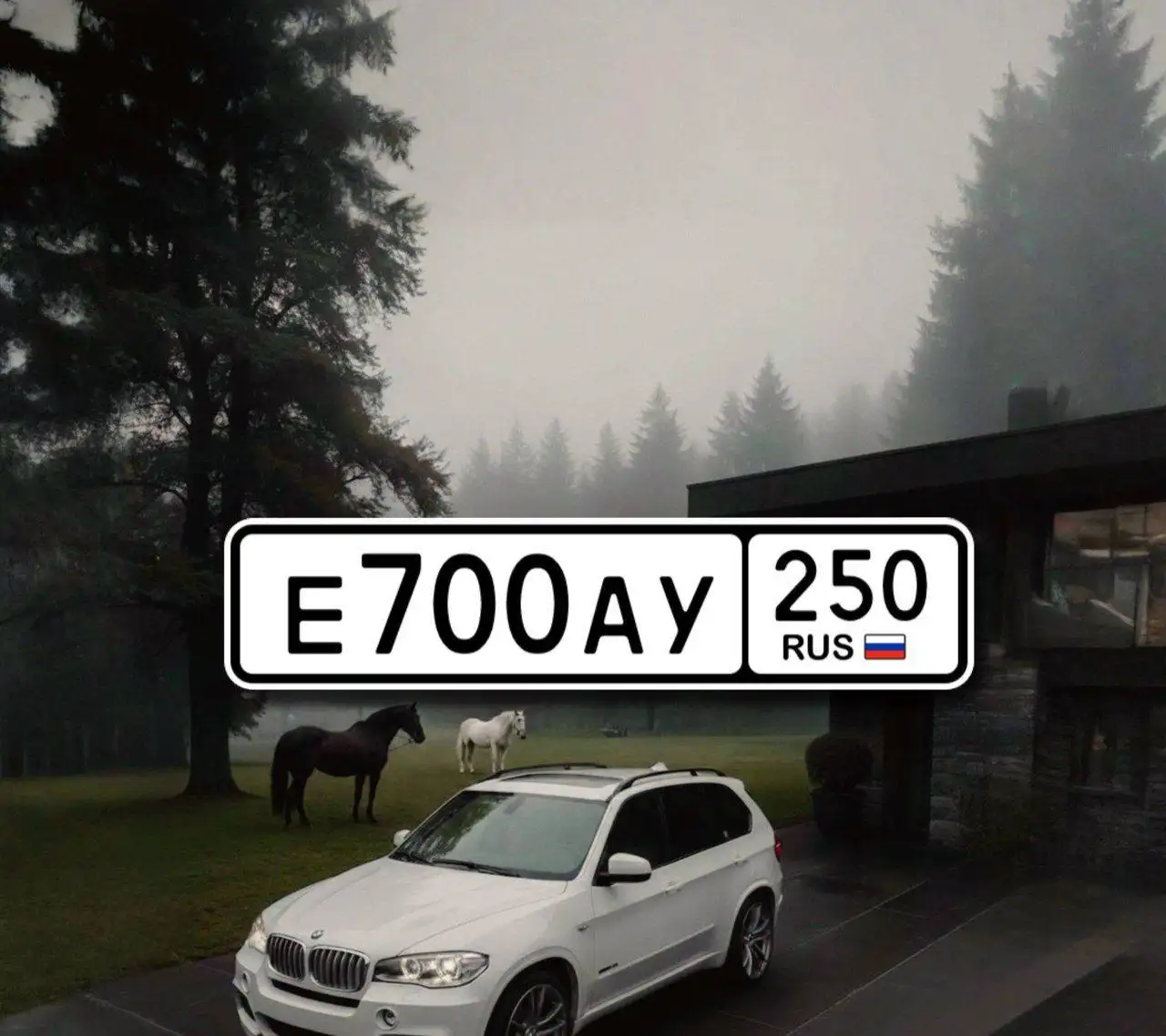 Е700АУ250 - Выкуп и помощь в продаже автономеров - Номера (Авто) в Москва
