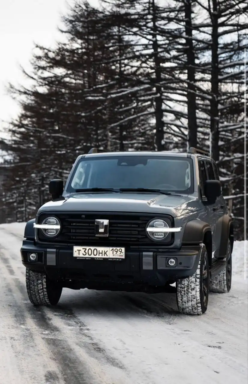 Продажа госномера Т300НК199