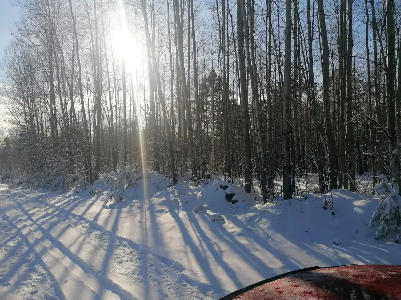 Продажа участка в ДНТ "Скиф" (12 соток, Иркутская область)