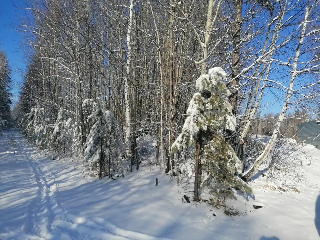 Продажа участка в ДНТ "Скиф" (12 соток, Иркутская область)