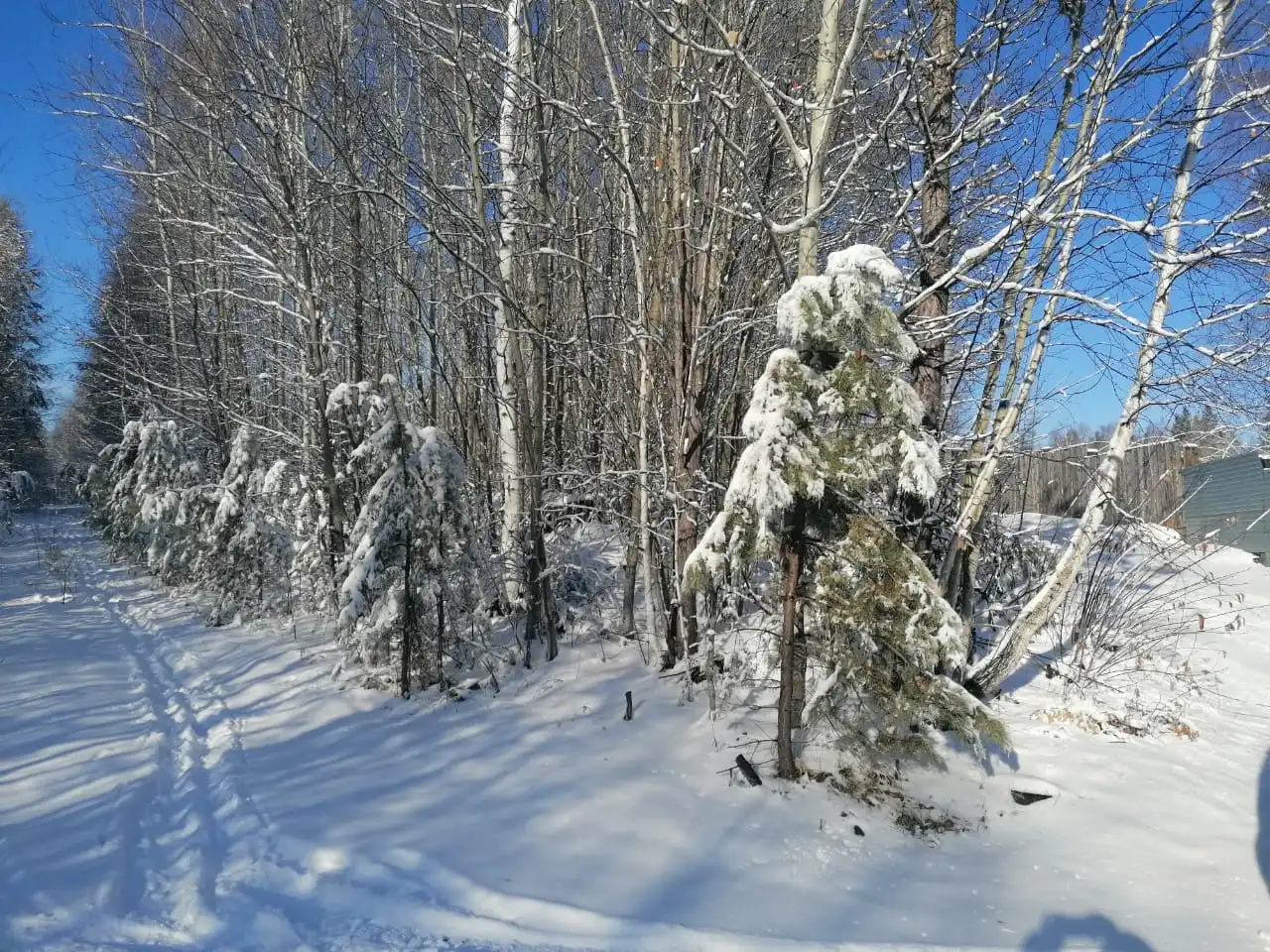 Продажа участка в ДНТ "Скиф" (12 соток, Иркутская область)