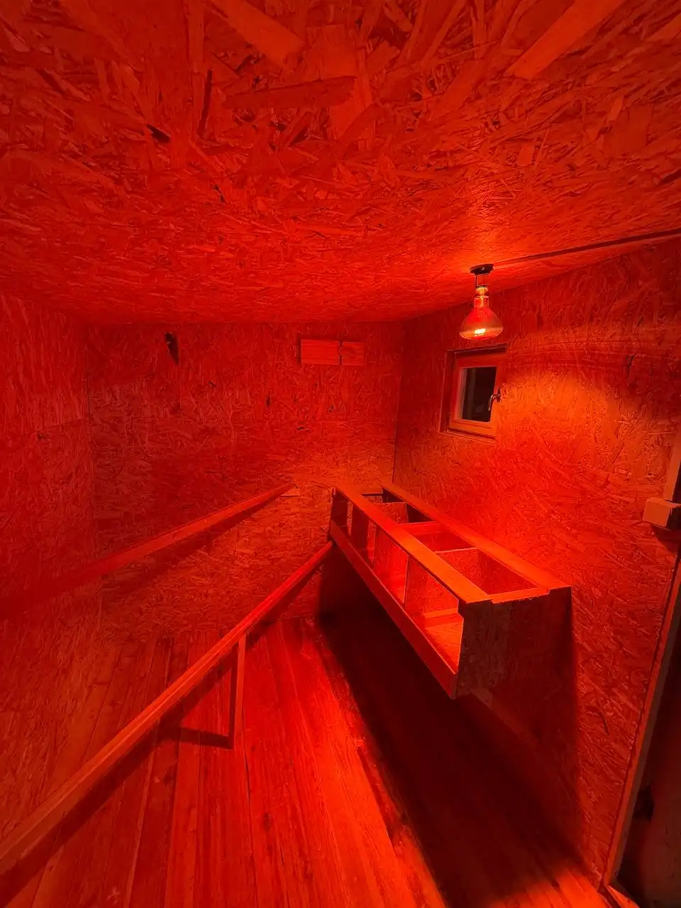 Продажа зимнего курятника 2м на 4м - Курятники (Для дома и дачи) в Иркутская Обл