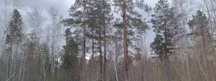 Продажа участка с домом в СНТ Южное - Земельные участки (Недвижимость) в Иркутская Обл.