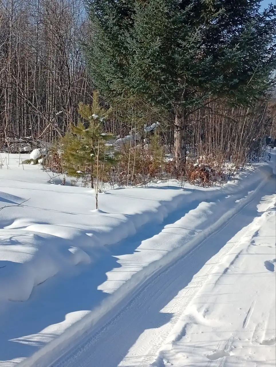 Продажа участка с домом-вагончиком в СНТ Хея - Земельные участки (Недвижимость) в Иркутск