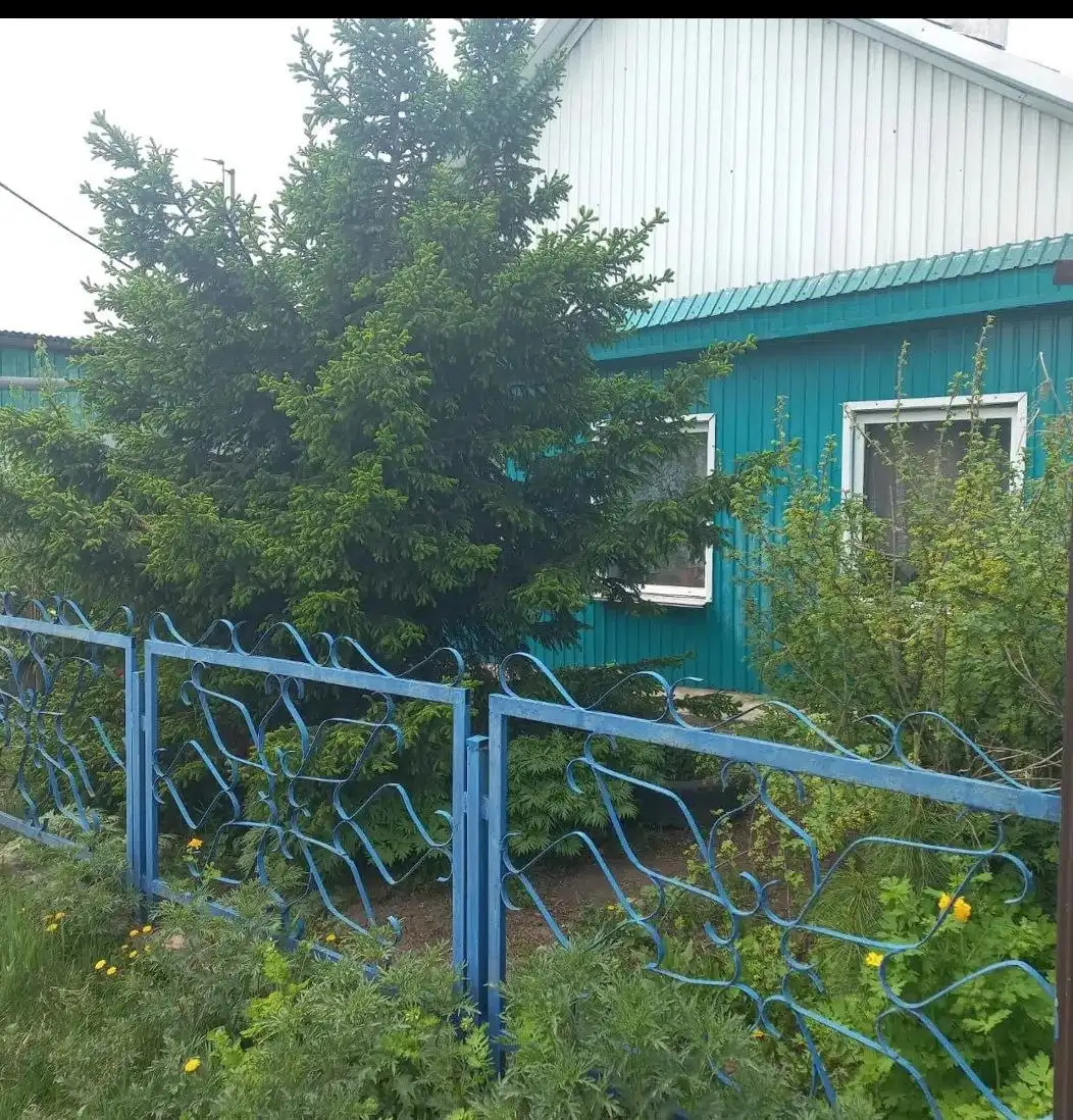 Продажа деревянного дома в с. Новожилкино, 55.5 кв.м, 23 сотки - Дома, дачи, коттеджи (Недвижимость) в Новожилкино