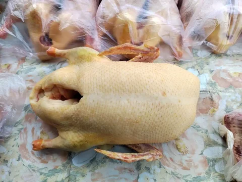 Продажа мяса уток - Животные в Саратов