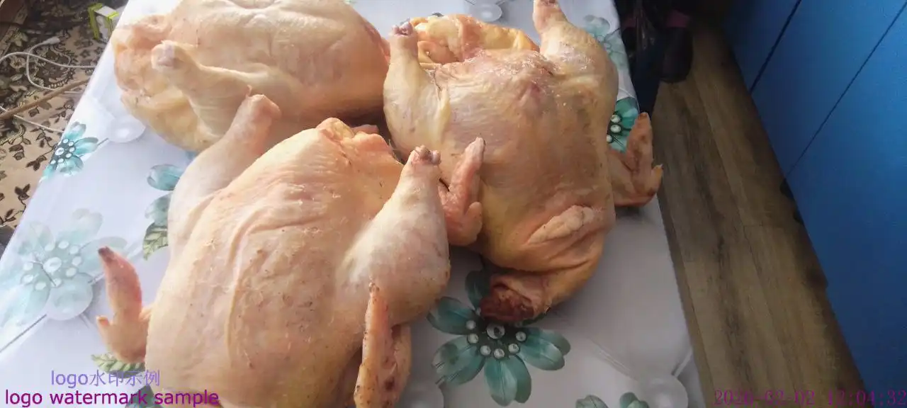 Домашние куры бройлеры свежие - Барахолка в Саратов