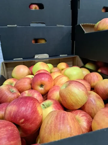 Продажа яблок и соков прямого отжима - частное объявление в Бобровка