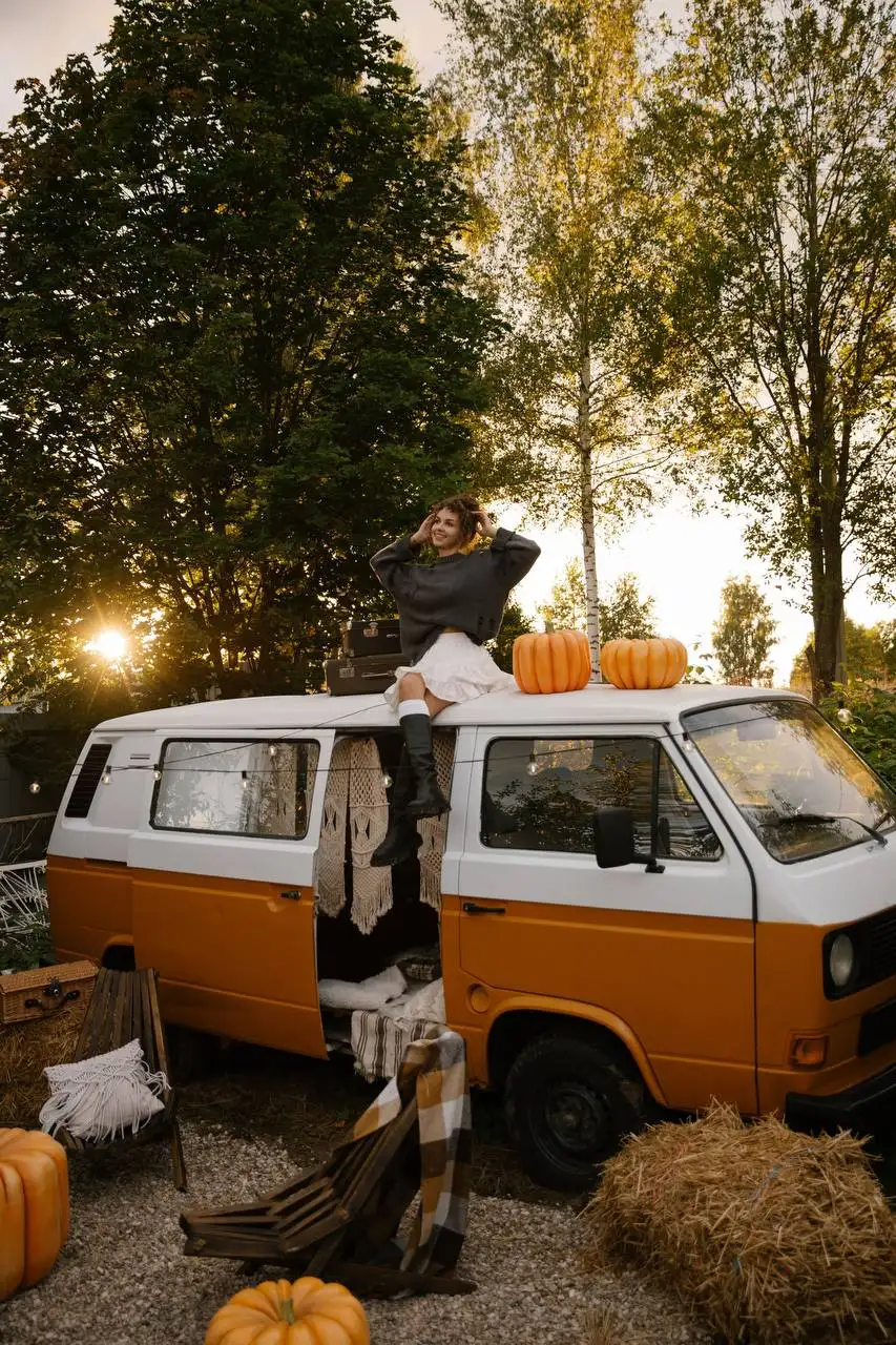 VW T3 1986 года - частное объявление в Клин