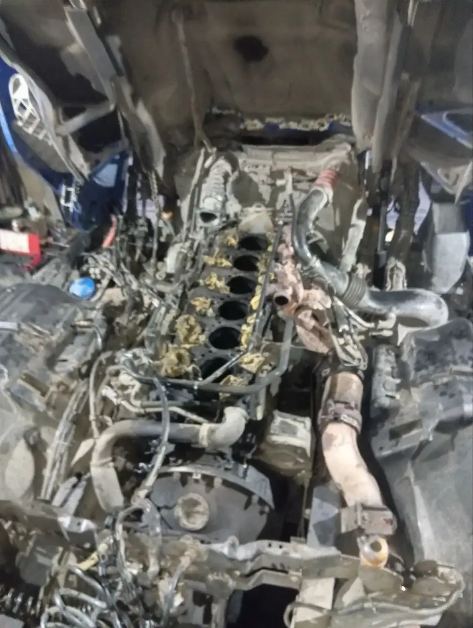 Продам сцепку Skania 114L 380 и Krone шторный - Грузовики и спецтехника (Авто) в Торез