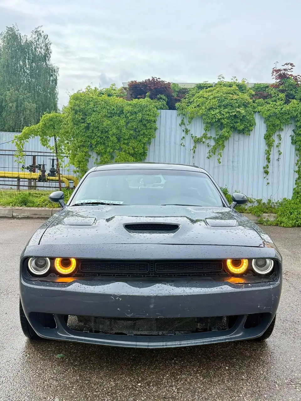 Dodge Challenger 2019 - Легковые автомобили (Авто) в Москва