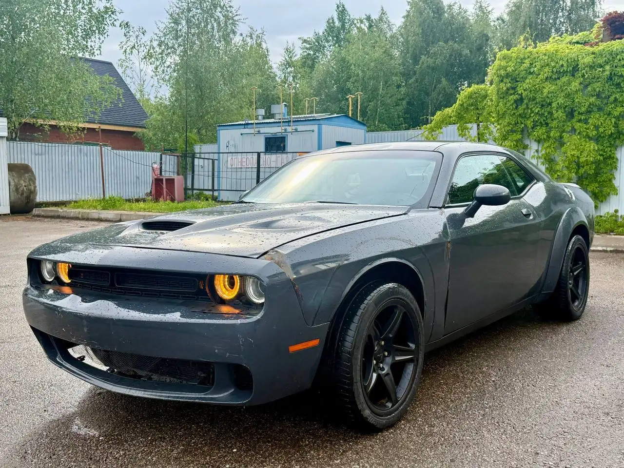 Dodge Challenger 2019 - Легковые автомобили (Авто) в Москва