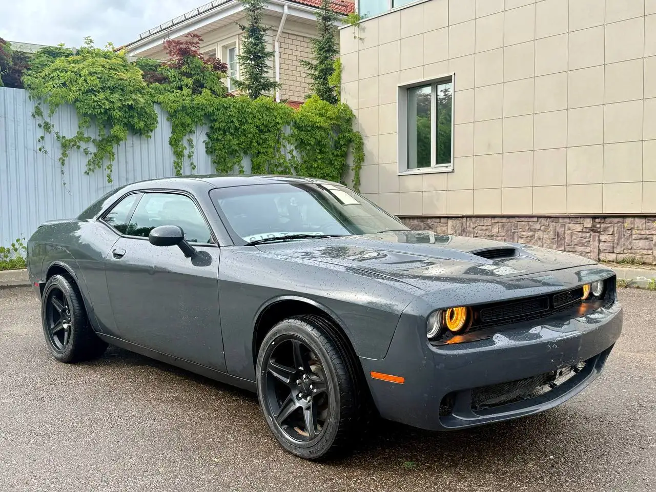 Dodge Challenger 2019 - Легковые автомобили (Авто) в Москва