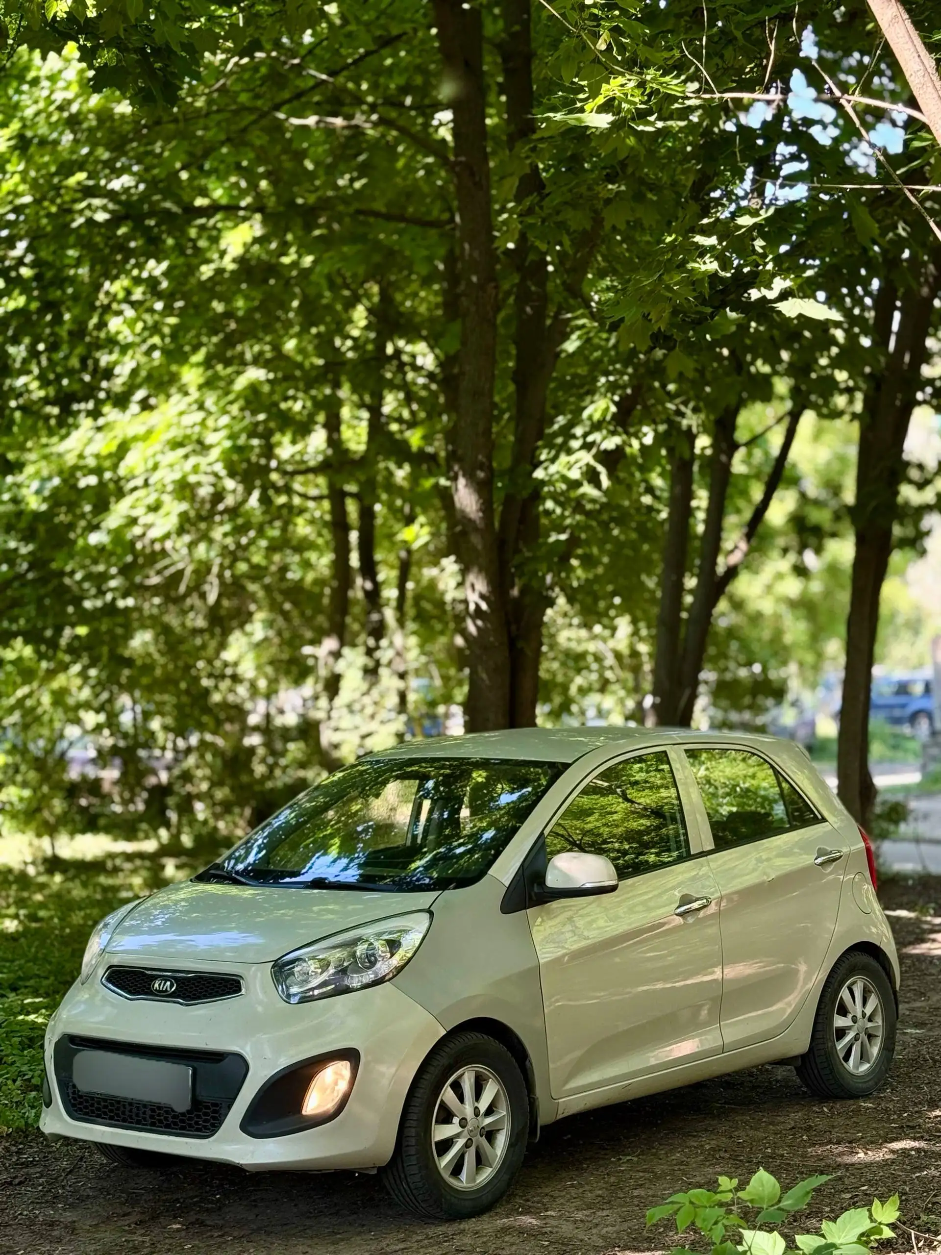 KIA PICANTO 2013 - Легковые автомобили (Авто) в Нижний Новгород