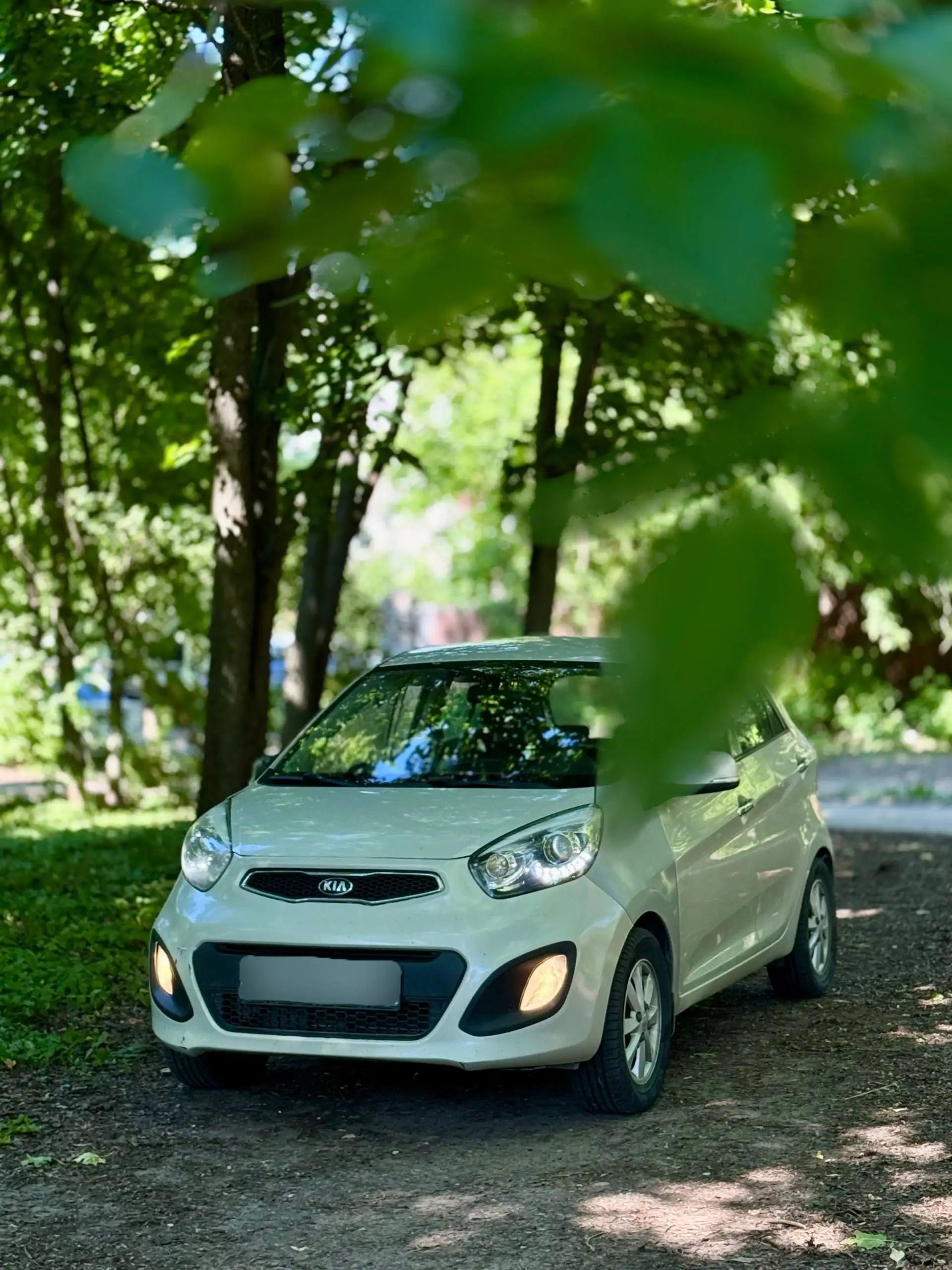 KIA PICANTO 2013 - Легковые автомобили (Авто) в Нижний Новгород