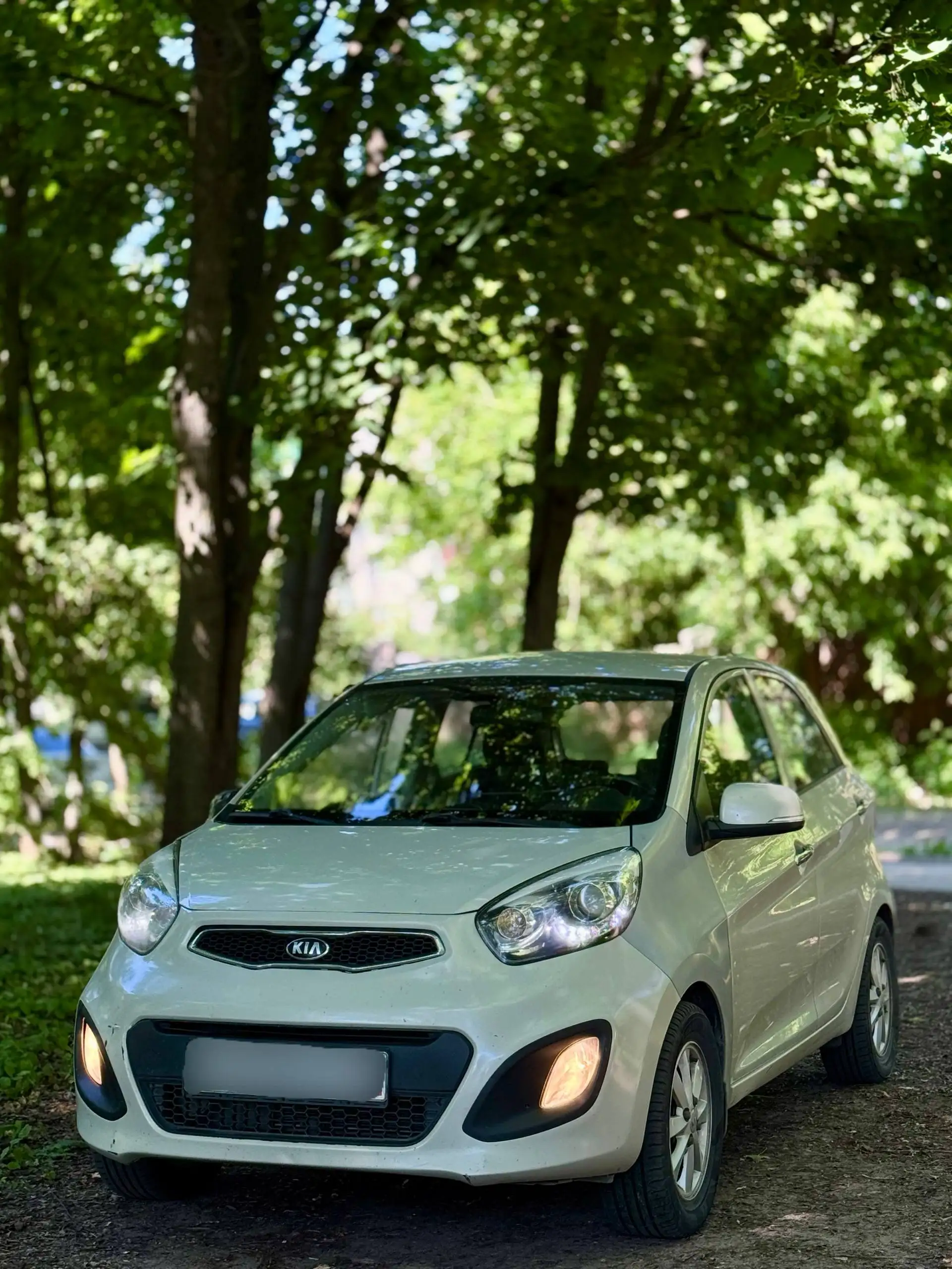KIA PICANTO 2013 - Легковые автомобили (Авто) в Нижний Новгород