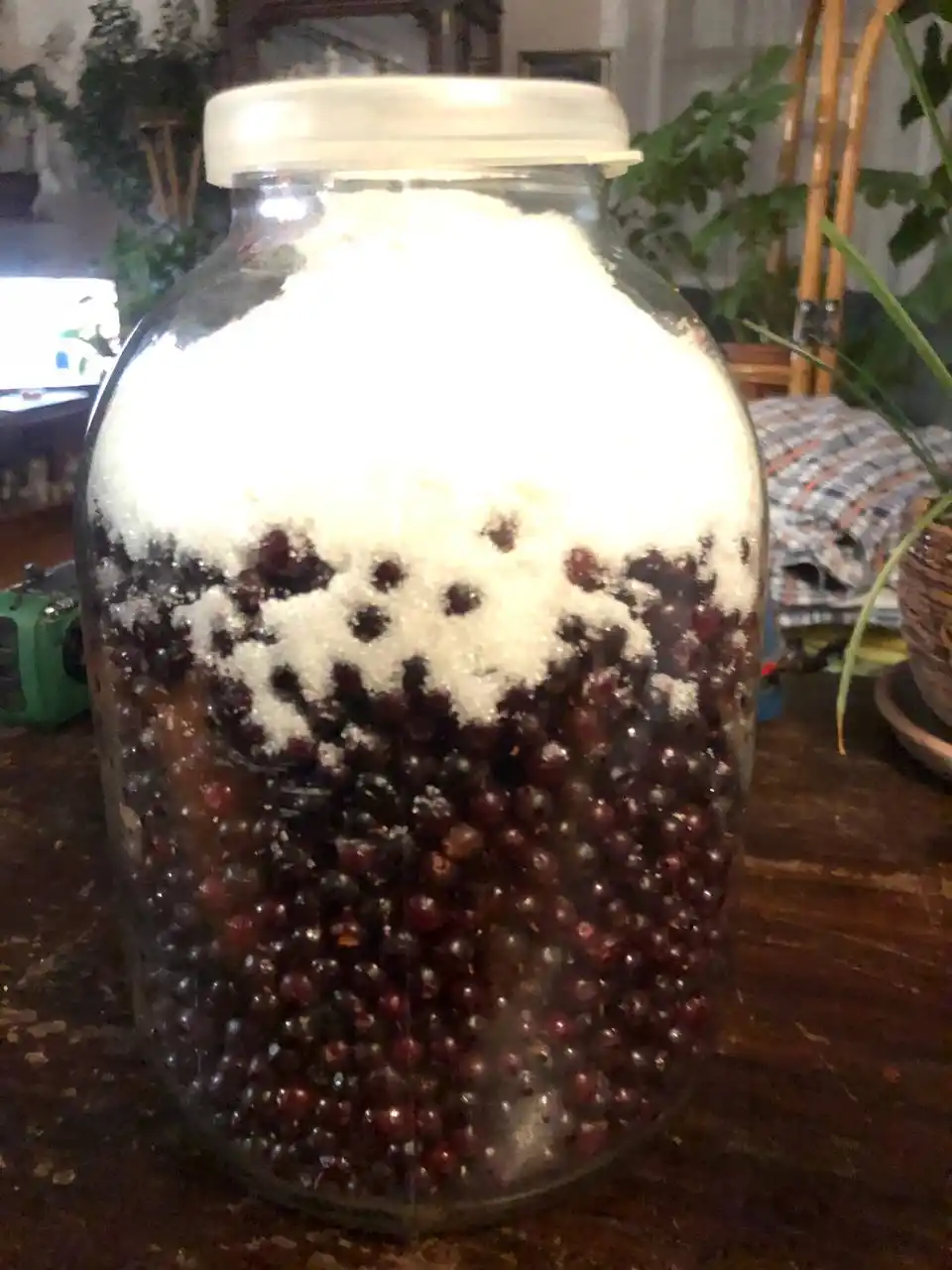 Продам бруснику с сахаром - Для дома и дачи в Иркутск