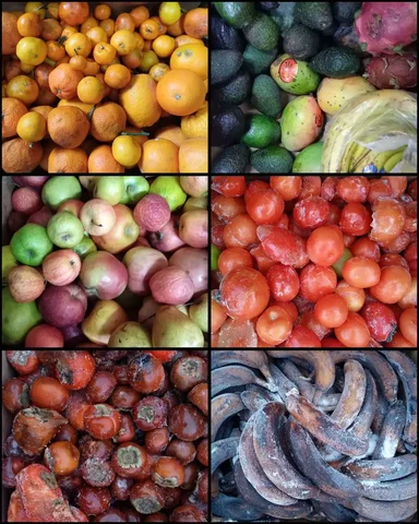 Фрукты и овощи для животных - Животные в Ангарск