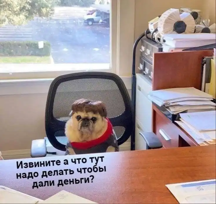 Помощник в офисе с ведением соцсетей - Работа в Иркутск