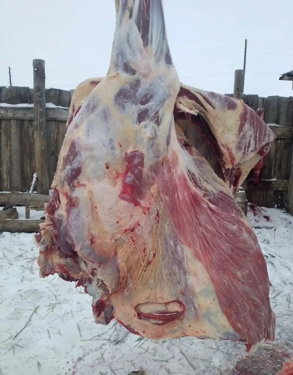 Продажа молодой говядины четвертинами - Продукты питания (Барахолка) в Иркутск