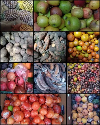 Фрукты и овощи для животных в Ангарске - Животные в Ангарск