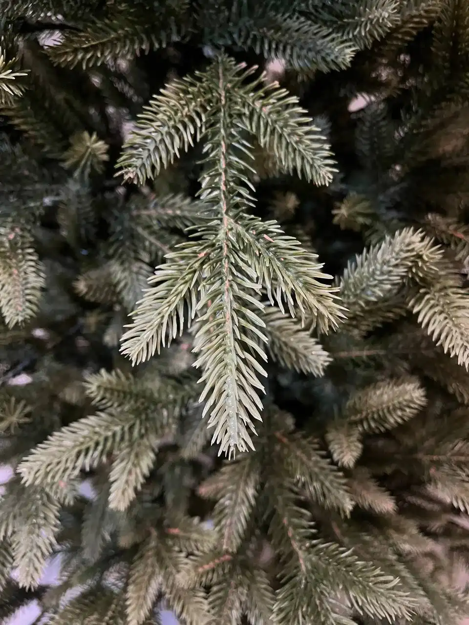 Искусственная ель Виола 100% литая