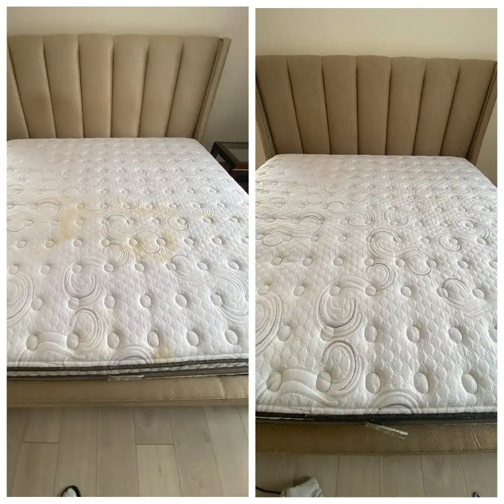 Профессиональная химчистка мебели от частного мастера