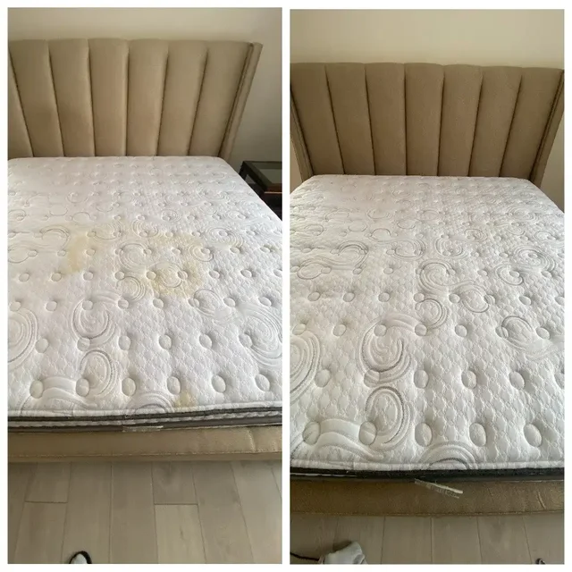 Профессиональная химчистка мебели от частного мастера - частное объявление в Балашиха