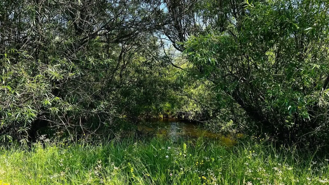 Участки на берегу реки в Олхе - Земельные участки (Недвижимость) в Олха