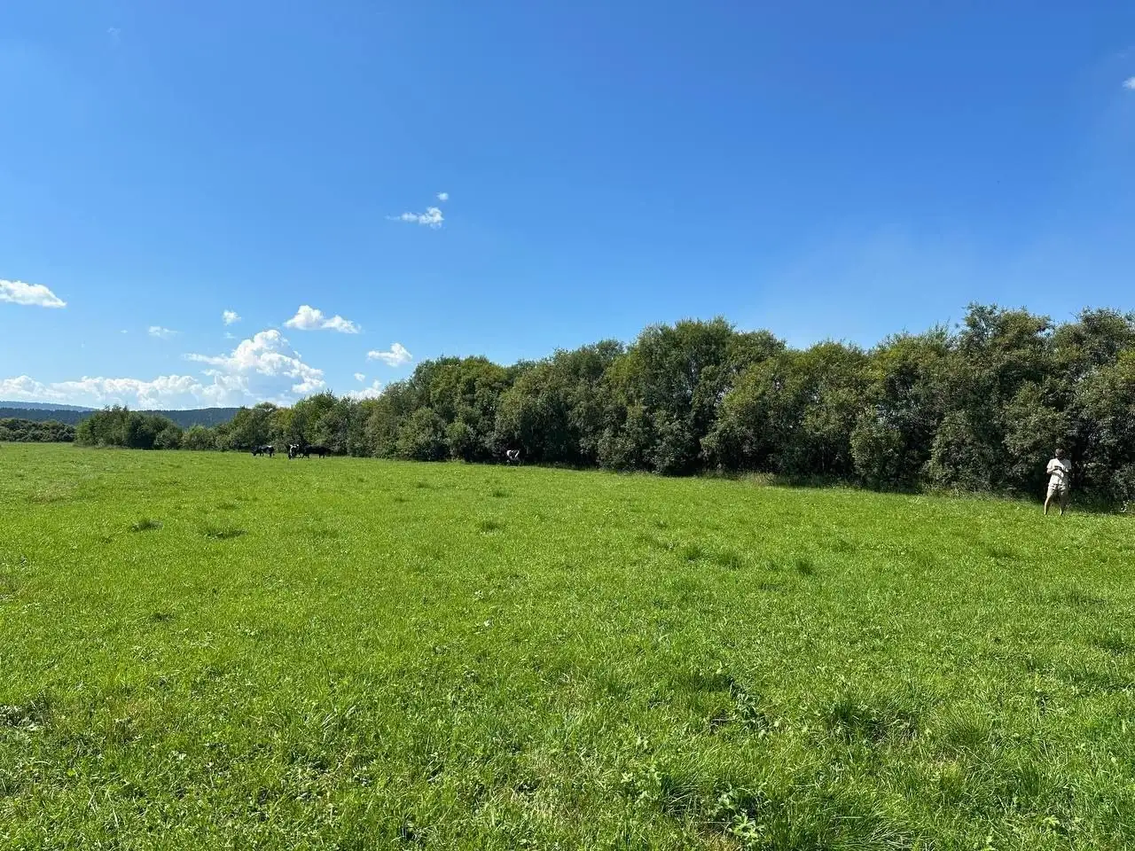 Участки на берегу реки в Олхе - Земельные участки (Недвижимость) в Олха