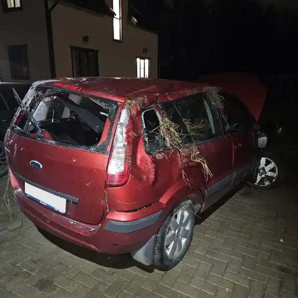 Ford Fusion 1 поколение [рестайлинг] 2008