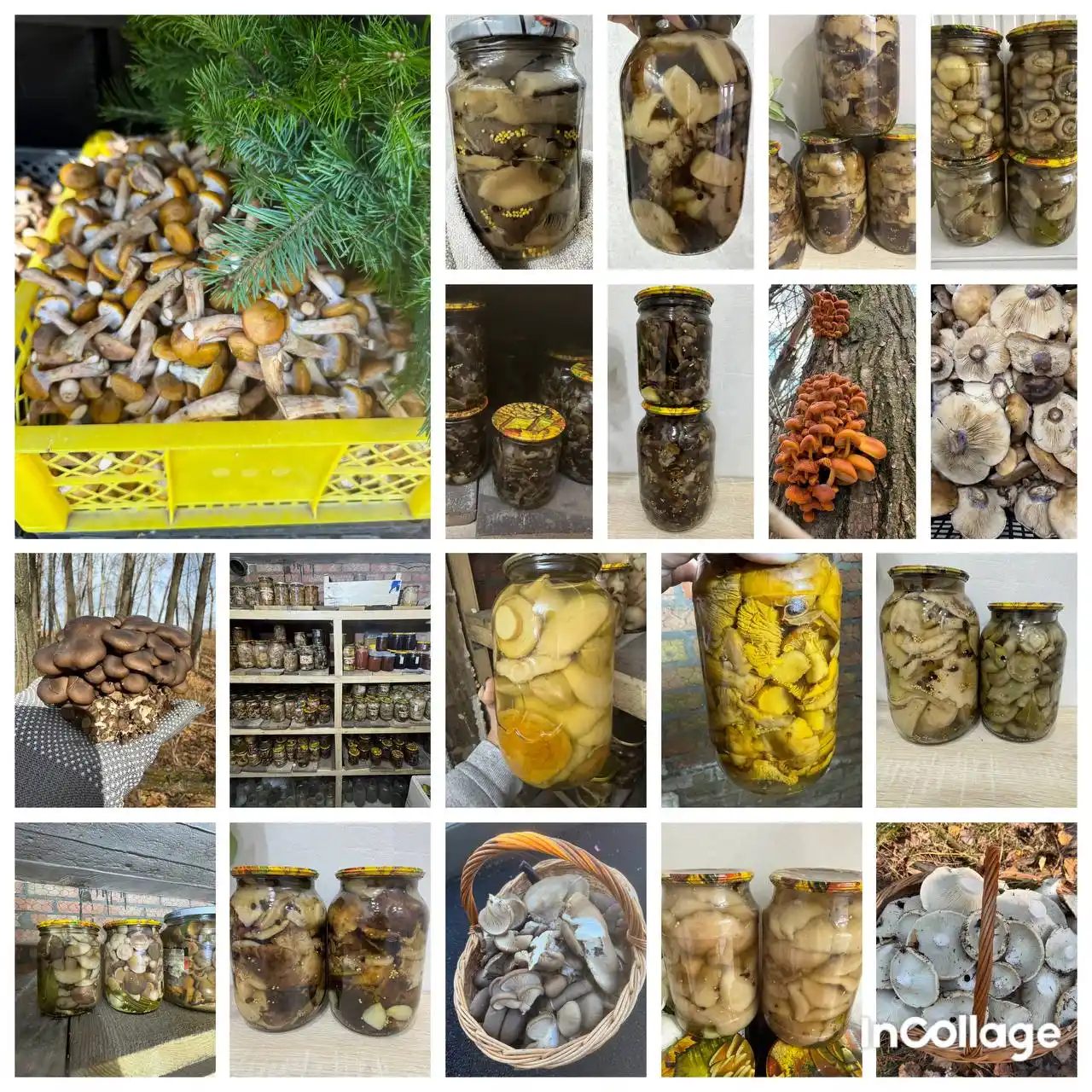 Маринованные грибы к праздничному столу - Хобби и отдых в Оренбург