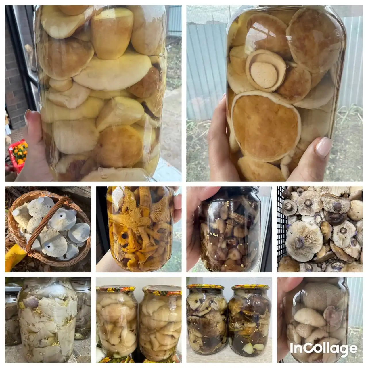 Маринованные грибы - Продукты питания (Барахолка) в Оренбург