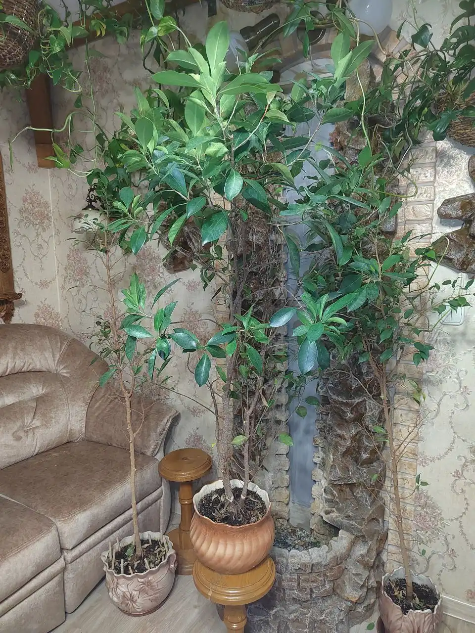 Цветы вместе с горшками