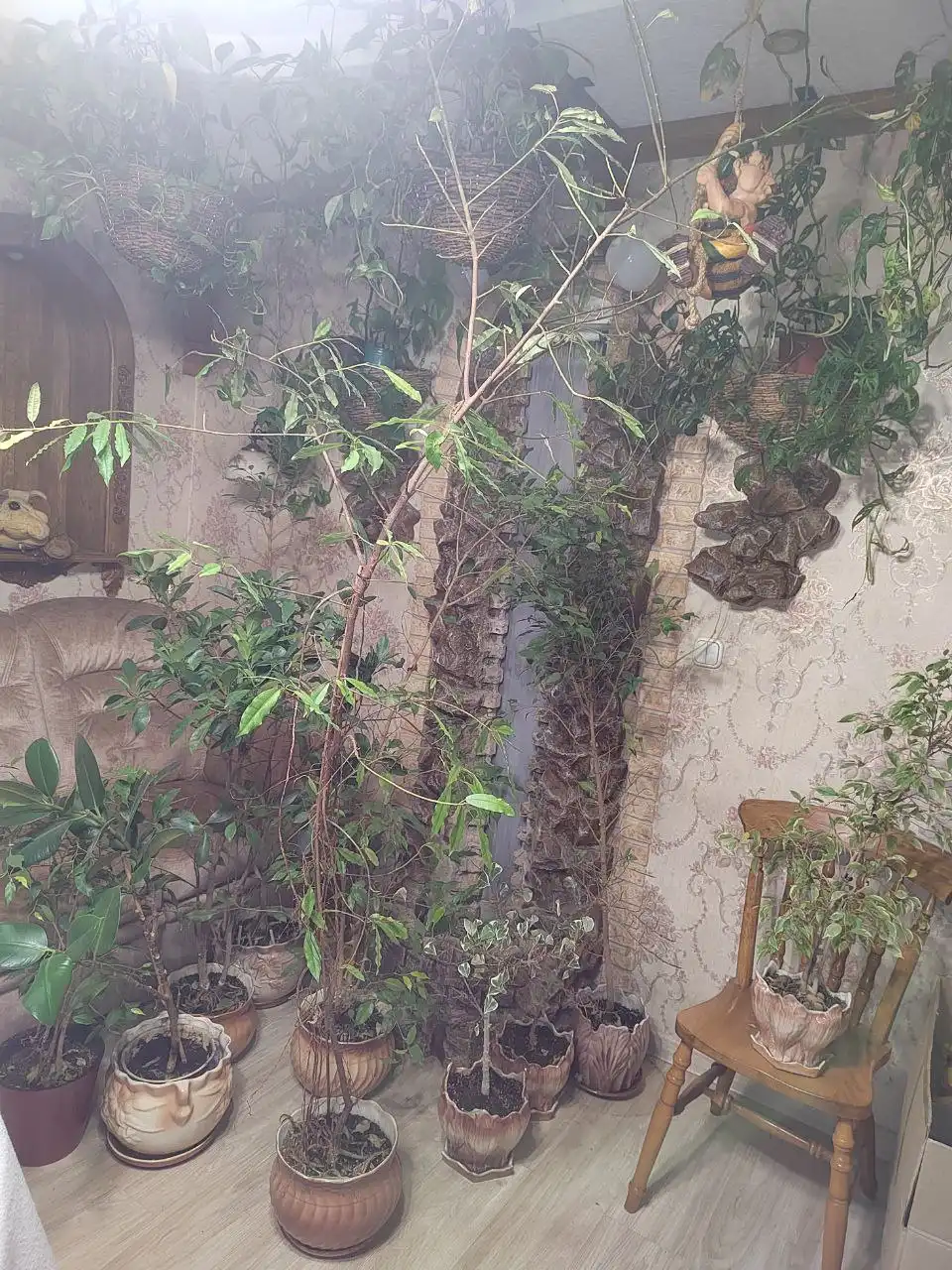 Цветы вместе с горшками