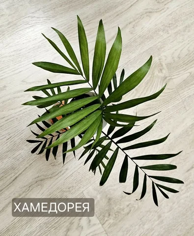 Объявление на барахолке - Одежда в Москва