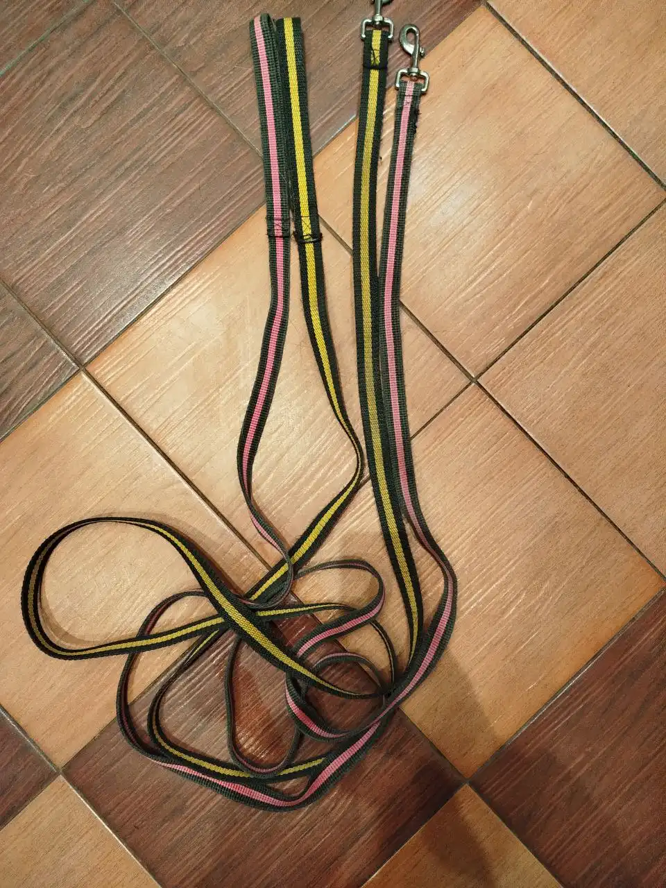 Продажа поводков и рулетки для собак