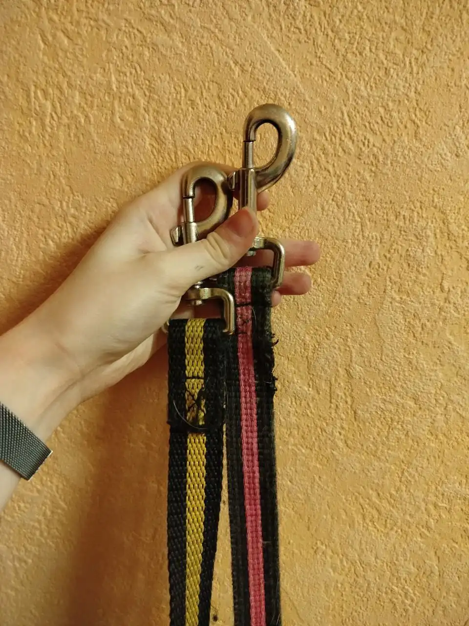 Продажа поводков и рулетки для собак