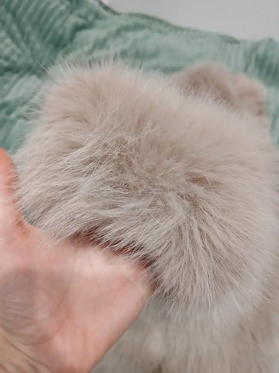 Шубка р 44-46-48