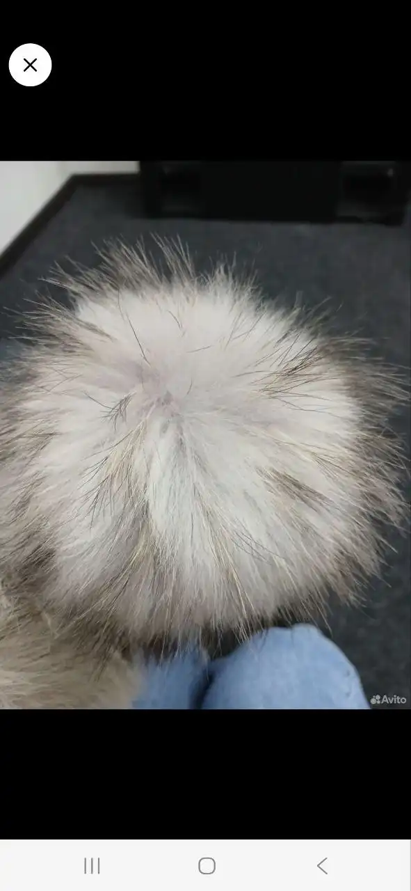 Остин новая